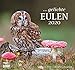 ... geliebte Eulen 2020 - DuMont Wandkalender - mit den wichtigsten Feiertagen - Format 38,0 x 35,5 cm by