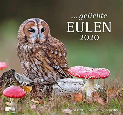 ... geliebte Eulen 2020 - DuMont Wandkalender - mit den wichtigsten Feiertagen - Format 38,0 x 35,5 cm