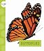 Produktbild Butterflies (Spot Creepy Crawlies)