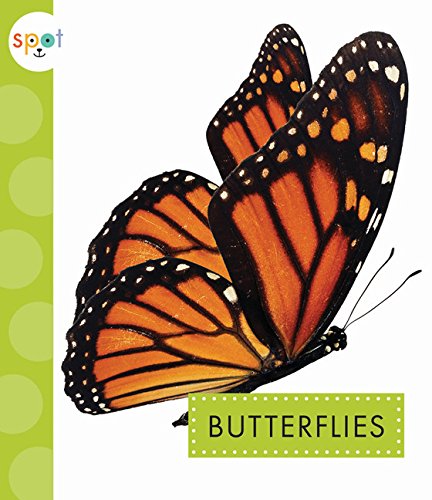 Preisvergleich Produktbild Butterflies (Spot Creepy Crawlies)