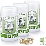 AniForte Zeckenschild natürlicher Zeckenschutz 180 Kapseln Sparpack 4 - Naturprodukt für Katzen - (Qualitäts-ID: 506 Z 02)