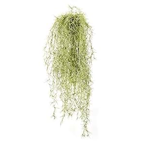 Artificial Tillandsia Usneoides - Spanish Moss, height 80 ...