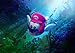 Produktbild Super Mario Odyssey Poster