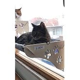 ATA HOME Cama Asılan Kedi Yatağı Vantuzlu