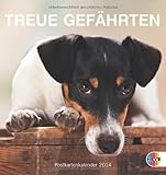 Hunde. Treue Gefährten 2014. Postkartenkalender by 