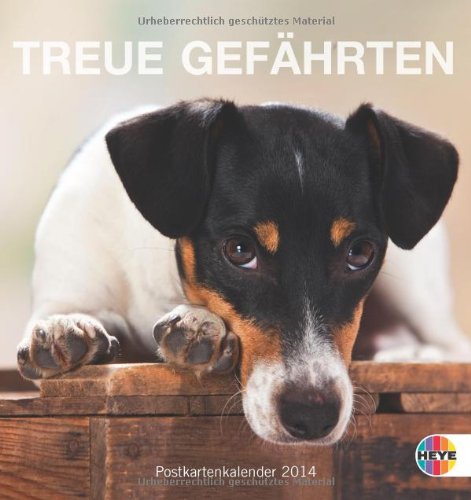 Hunde. Treue Gefährten 2014. Postkartenkalender