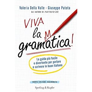 Viva la grammatica! La guida più facile e diverte