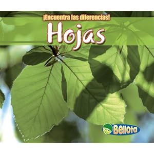 Hojas / Leaves