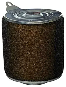 VHPL ACT309A Center Air Filter for Activa 110Cc / Mestro
