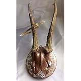 Rehgeweih auf einem Trophäenschild veredelt mit echten Swarovski-Elements