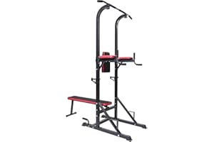BodyTrain Power Tower and Weight Bench
