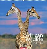 Weingarten-Kalender African Wildlife 2009 by