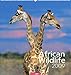 Weingarten-Kalender African Wildlife 2009 by