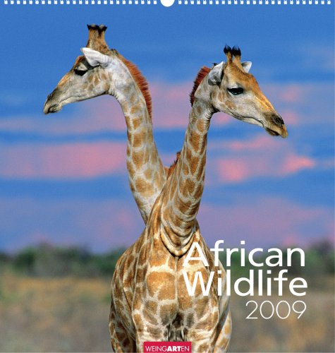 Weingarten-Kalender African Wildlife 2009