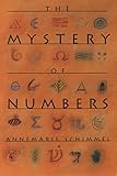 Image de The Mystery of Numbers (Oxford Paperbacks)