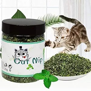 Sage Square Natural Organic Catnip Powder with Menthol Flavor to Relax and Train Your Cat, Kitten (20grm)