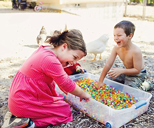 LanMing 5000pcs Wasserperlen Gelperlen Aquaperlen Deko Aqualinos Hydroperlen Für Die Bewässerung Der Pflanzen (Zufällige Farbe) - 3