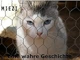 Bücher Neuerscheinungen 2022 - Miezi - Eine wahre Katzengeschichte von Judith Cramer