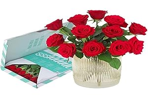 BloomPost Roses rouges - Cadeau boîte aux lettres - Fleurs fraîches livrées - Bouquet parfait pour la Saint-Valentin, les anniversaires et les cadeaux de remerciement - Livraison gratuite