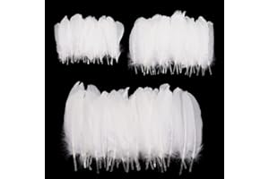 HOSUNG Feather for Crafts, 250 Pcs White Feathers Natural Goose Feathers for DIY Dream Catchers/Earrings/Wedding Party Decorations (3 Sizes)