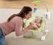 Fisher-Price Space Saver Swing and Seat, Rainforest