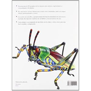 Bichos: Los Insectos más Terroríficos (Criaturas Terroríficas)