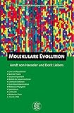 Image de Fischer Kompakt: Molekulare Evolution