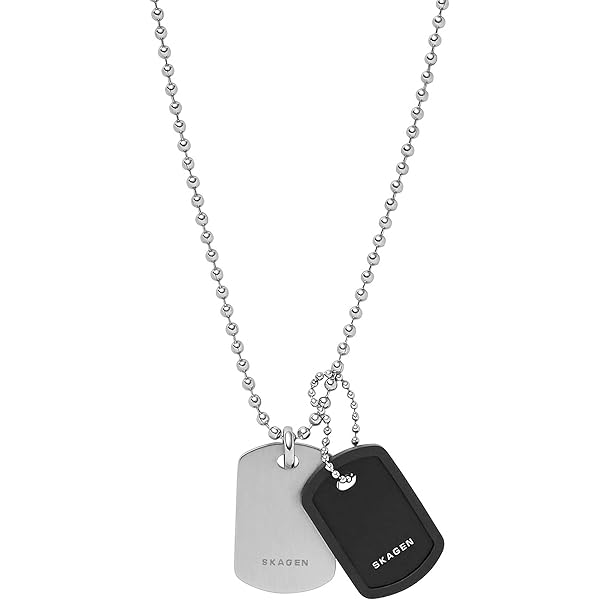 Collar De Cadena De Acero Inoxidable | Plateado/Noir