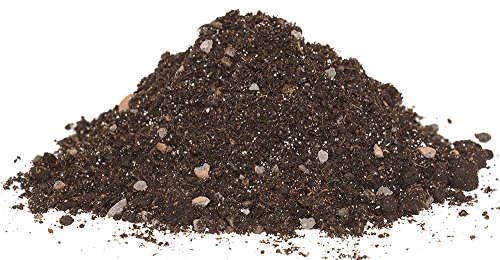 Floragard Kakteenerde 5 L - 2