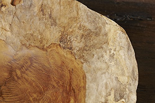 Exklusive Teak Holz Schale 30cm NATURE ROOT massives Wurzelholz natur - 4