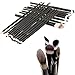 SONGQEE(TM) 20pcs Black Pro Cosmetic Makeup Brushes Set - Eyeshadow Mascara Lip Brush
