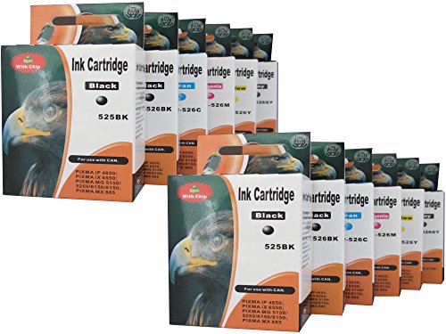 12 Druckerpatronen für Canon Pixma MG6150 MG6250 MG8150 MG8250 MG 6100 6150 6200 6250 8100 8150 8200 8250 mit Chip (Sie bekommen 2 x schwarz (ersatz PGI-525BK) 2 x schwarz (ersatz CLI-526BK) 2 x blau (ersatz CLI-526C) 2 x rot (ersatz CLI-526M) 2 x gelb (ersatz CLI-526Y) 2 x grau (ersatz CLI-526GY)