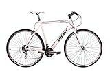 Leistungsstarke V-Brakes tretwerk DIREKT gute Räder Subs 1.0 V4 28 Zoll Herren Fitnessbike, Herren-Fahrrad 24 Gang Kettenschaltung, M