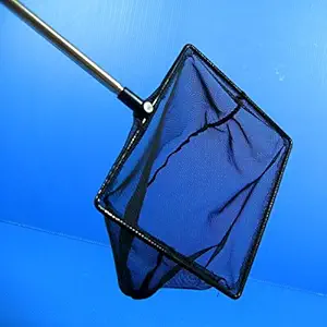 Aquarium Adjustable Fish NET ?5.9