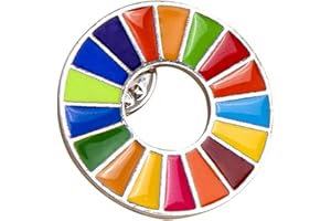 ERUYN Broche de los Objetivos de Desarrollo Sostenible de Las Naciones Unidas ODS Arco Iris Insignia Arco Iris