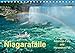 Produktbild Niagarafälle - American Falls und Horseshoe Fall (Tischkalender 2019 DIN A5 quer): Die Niagarafälle - imposante Wasserfälle mit gebremster Kraft. (Monatskalender, 14 Seiten ) (CALVENDO Natur)