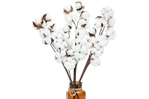 Ruiuzioong - Steli di cotone essiccato naturale, stile fattoria, fiori artificiali, riempitivi, decorazione per feste (3 pezzi, vapore)