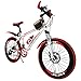 Produktbild 20-Zoll-21-Gang-Bike, Rennmuskel-Flex, Laufrennfahrer, Doppelscheibenbremsen (Kinder)