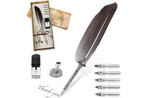 AOMAYLL Stylo Dip à Plume, Plume d'oie à Encre, Set de Calligraphie Vintage avec avec 5 Plumes de Rechange, Encre, Porte-stylo (gris)