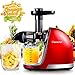 Produktbild AMZCHEF Slow Juicer BPA-frei Entsafter Gemüse und Obst Profi Entsafter mit Ruhiger Motor & Umkehrfunktion & Saftkanne & Reinigungsbürste(150 Watt/Rot)