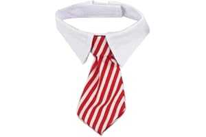 EROSPA® Hunde-Halsband Krawatte mit Kragen - Halsbinde/Schlips (Rot/Weiß)