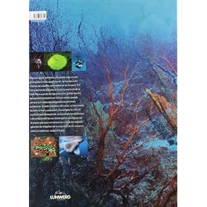 Mundo Submarino (Naturaleza (lunwerg))