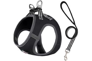 Lalazoo Szelki dla Małego Psa Step-in z Siateczki MIAMI, Regulowana uprząż, kamizelka, odblaski, wygodne, lekkie, Bezuciskowe, dla micro ras, Oddychające z Metalowymi Klamrami i Smyczą (czarny, M)