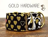  Martingal Hundehalsband: You Are Gold, handgemacht in Spanien von Wakakán