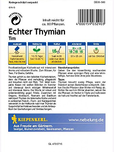 Echter Thymian Tim - 2