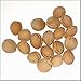 Bag of Filling Cherry Stone Cushion for your toy Ferdinand Baltus