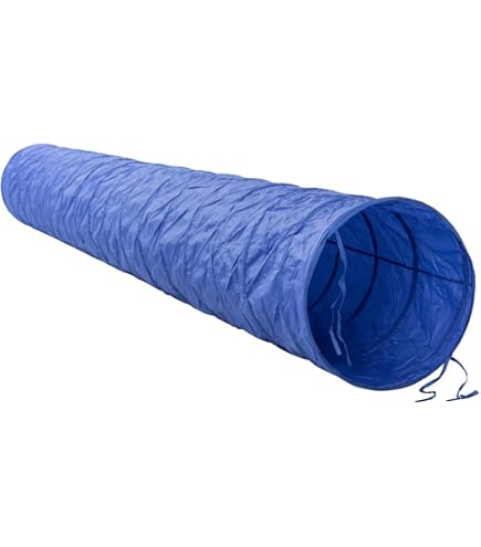 Altalena Per Cani PawHut Agility – Dondolo In Legno Pre-oliato Antiscivolo Con Feltro Bituminoso, Portata 30 Kg