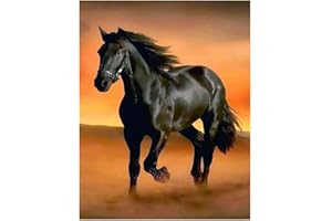 DCIDBEI Diamante quadrato 40x50cm square diamond painting fai da te cavallo ricamo a punto croce kit completo pittura con strass tela per mosaico puzzle con perline numeri adesivi grandi decorazione da parete