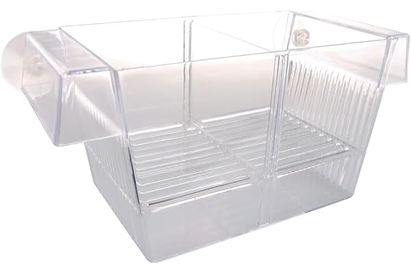 Zolux 3en1 Pondoir Isoloir pour Aquarium
