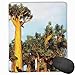 Produktbild Mouse Mat Stitched Edges, African Baobab Trees Oriental Flora Photography Indigenous Plants,Gaming Mouse Pad Non-Slip Rubber Base